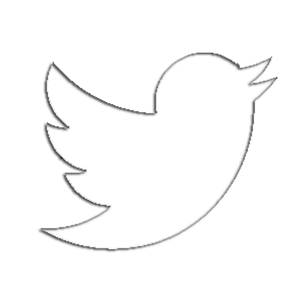 twitter logo